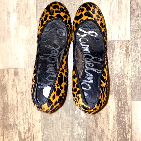 Leopard heals - Picture 4 of 4